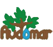 boutique dans la cathédrale notre dame