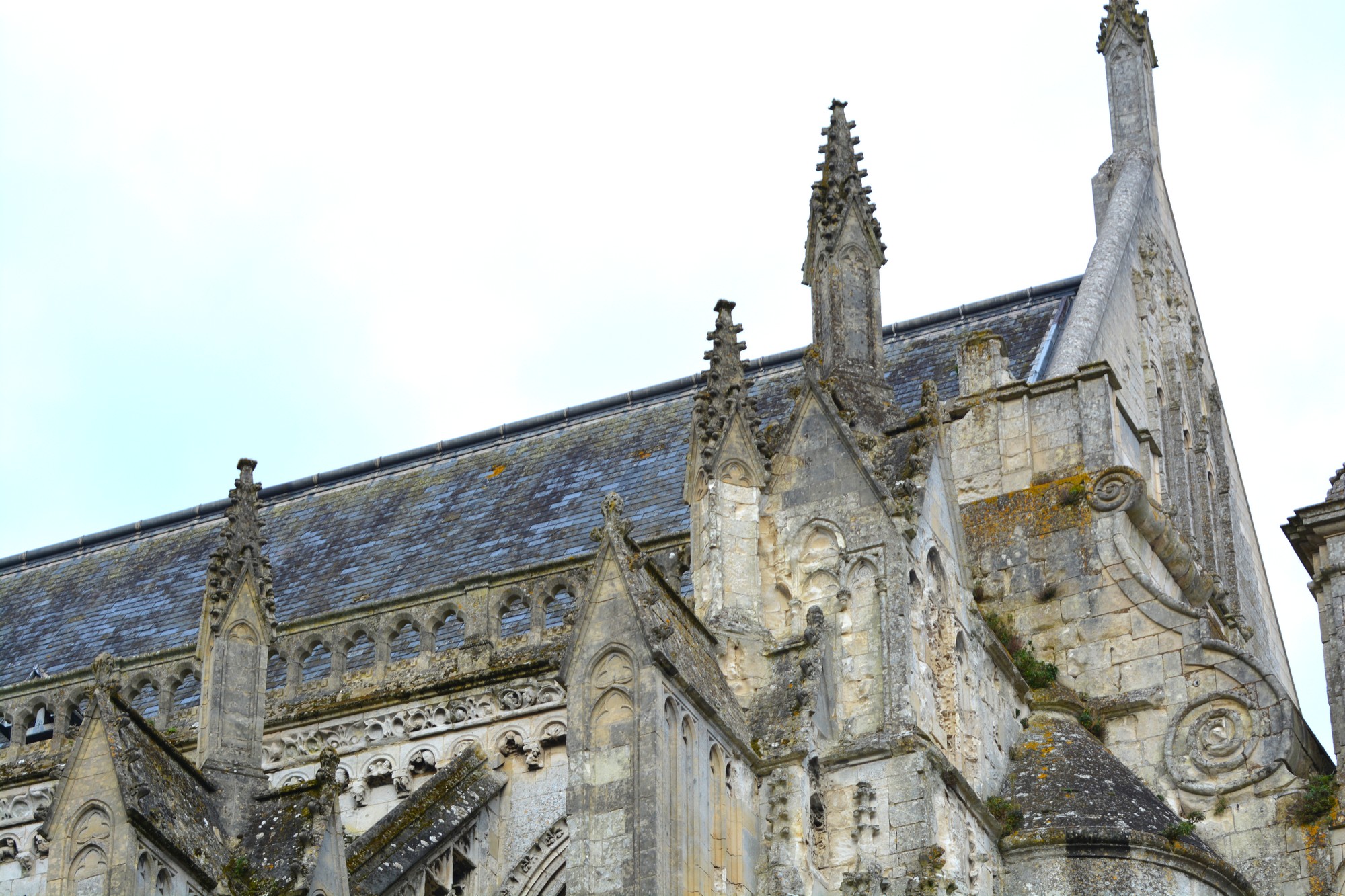 pignon et retours sud  de Notre-Dame de saint-omer