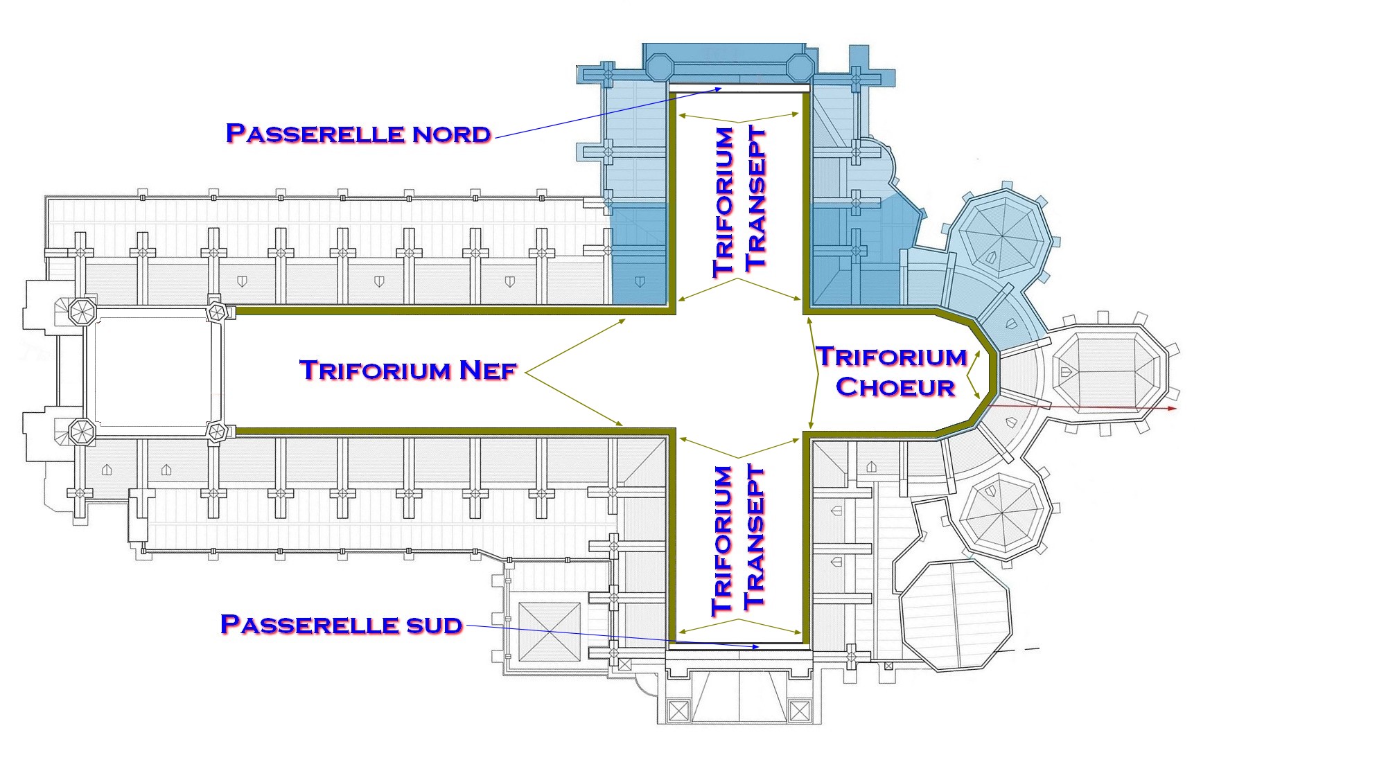 Coupe à plat au niveau du Triforium